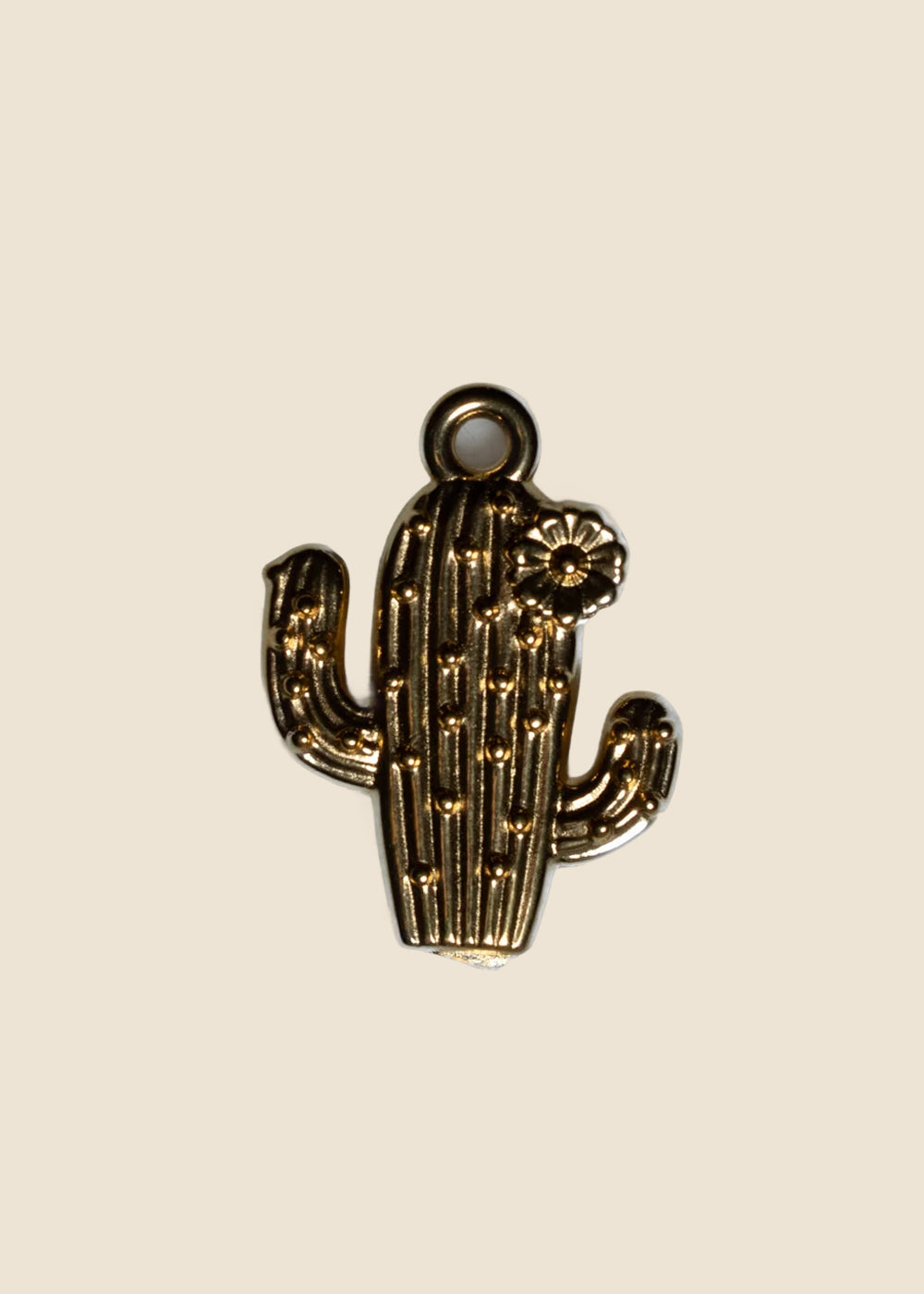 Cactus Charm for Eli & Kai leather journals