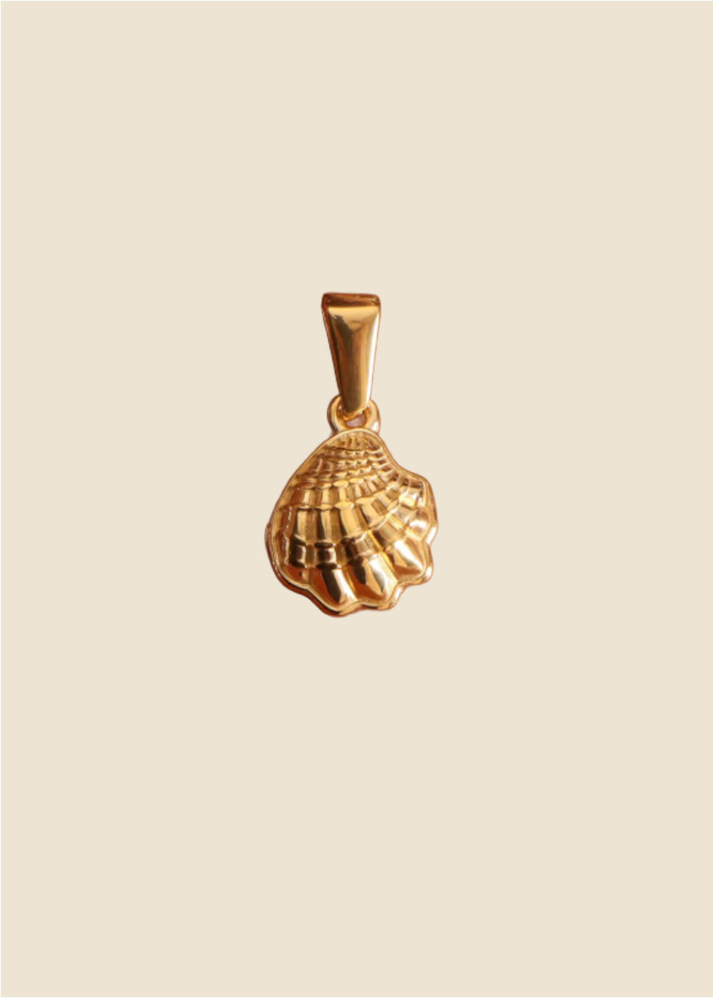 صدفة