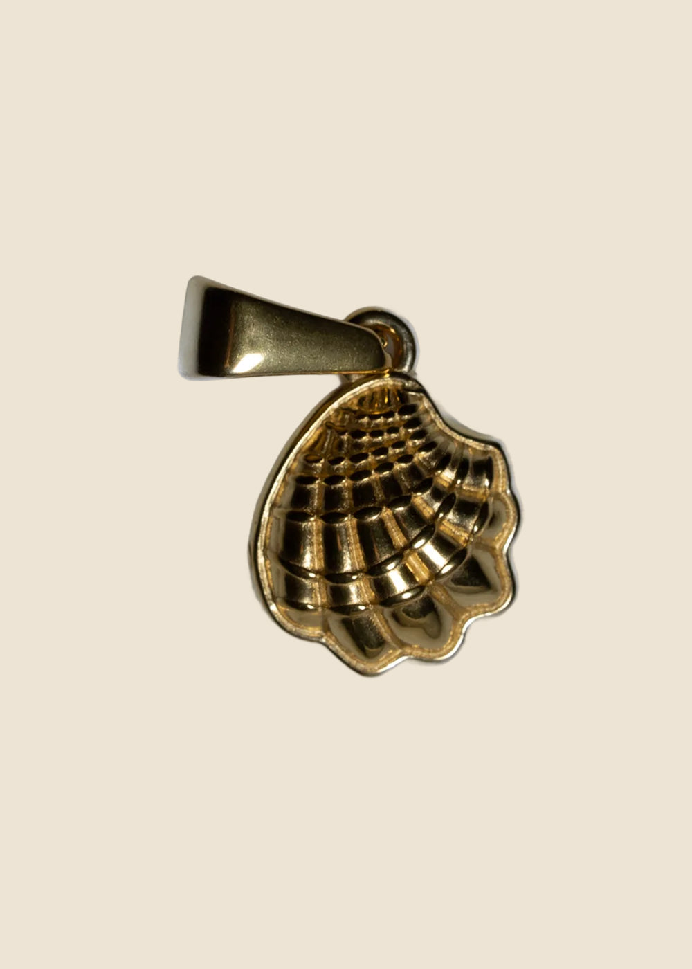 Gold: Shell Charm in Gold for Eli & Kai leather journals