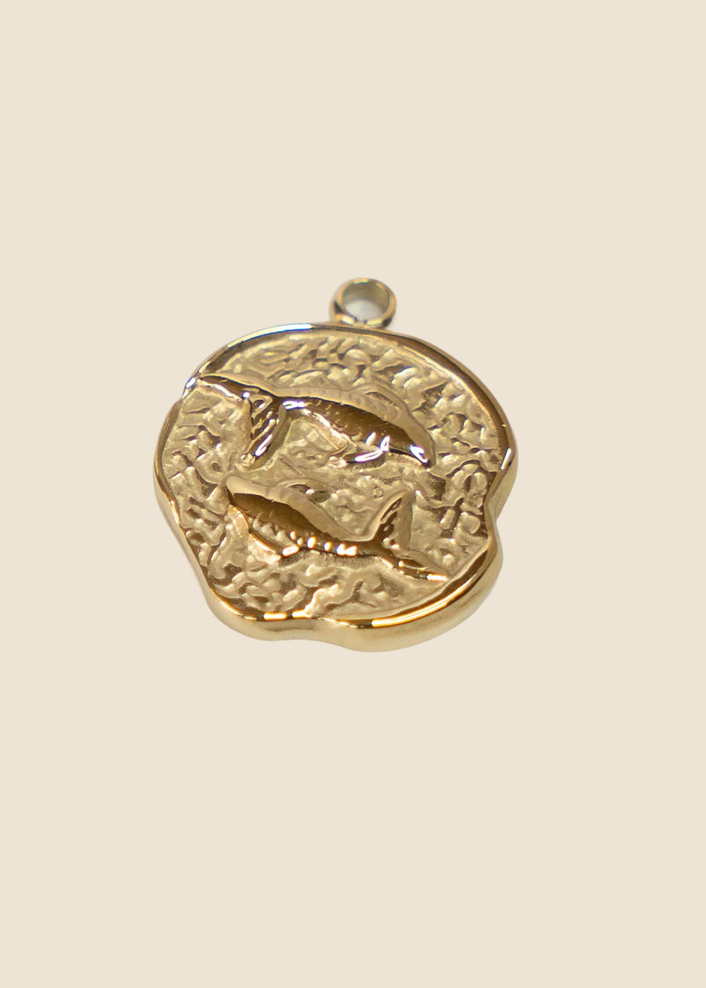Pisces: Pisces Star Sign Charm for Eli & Kai leather journals