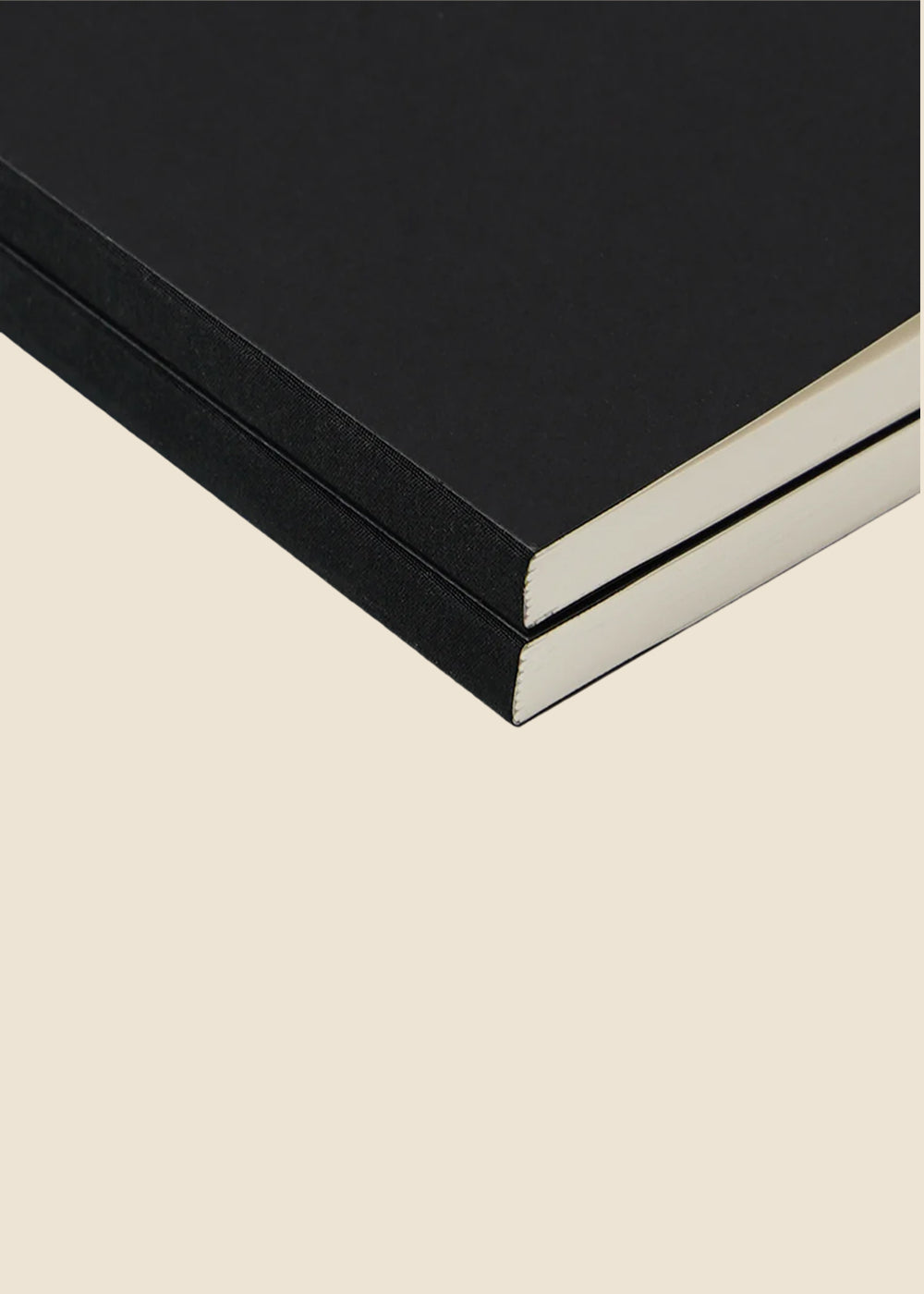 Tomoe River Paper Notebook