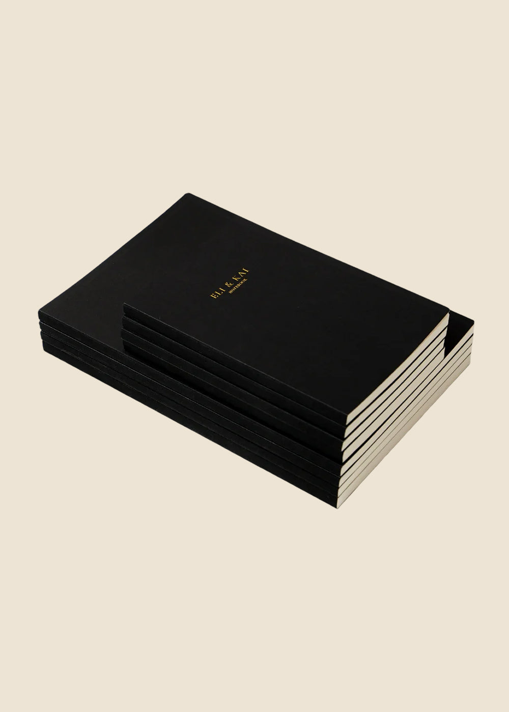 Tomoe River Paper Notebook